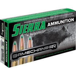 SIERRA 300 AAC 125GR TGK