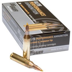 SIG 243 WINCHESTER 90GR ELITE