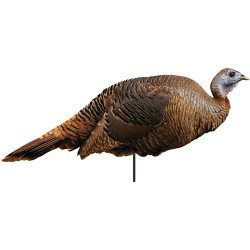 MONTANA DECOY TURKEY SPRING